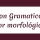 Don Gramaticón: El analizador morfológico de textos